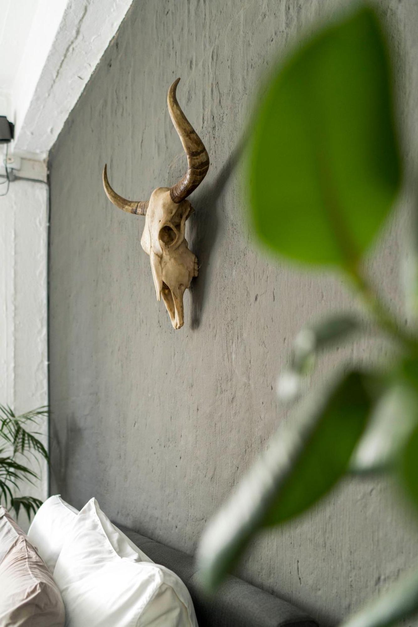 Urban Fox Penthouse By Curiocity Johannesburg Buitenkant foto